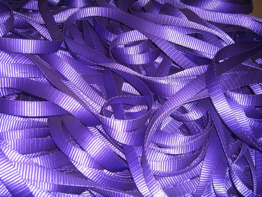 Αγορά Πολυχρωματικό 1T Polyester Webbing Roll, Polyester Sling Webbing Πιστοποιητικό TUV GS online manufacture