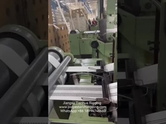 Εργοστάσιο Σφραγίδας Ανύψωσης Πολυεστέρα